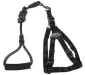PET Correas 1 Unidades de Perro de Raza Grande