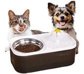 Fuente para gatos, Comedero, gato, perro, Comedero y Bebedero