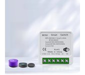 433Mhz Tuya WiFi Smart Switch 16A Wireless 1/2/3 Gang 86 Wall Panel Switch Voice Control Work with Alexa Google Home DIY Lamp