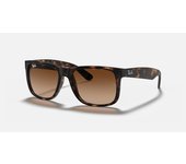 Ray Ban Justin Classic, Calibre 54; Diferentes colores y combinaciones de lentes