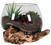 Terrario San, Madeira, Marrón, 15x15x15 cm