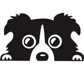 Cars Accessorie Decals Funny Dog With Name Car Decal Dogs Pet Animals Laptop Vinyl Sticker For Apple
