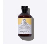 DAVINES PURIFYING Shampoo - Champú purificante para cueros cabelludos con caspa grasa o seca