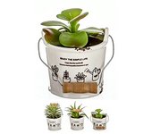 Pack 3 Cactus Artificial en Maceta Porcelana-DAMDAM GO