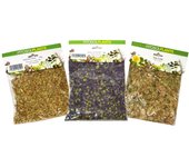 Ynsadiet Anis Verde 60 Gr - Beneficios para la Salud