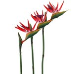 3Pcs Artificial Heaven Bird Flowers,Fake Bird of Paradise Strelitzia,Faux Silk Plants for Home Office Wedding Table  Decor
