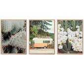 Set de 3 cuadros calidad premium con marco de madera - 30x40 cm o 50x70 cm - POSTER LAB