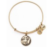 Pulsera Alex And Ani A13EB01SARG - Joyería Mujer - Estilo Elegante