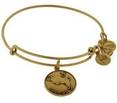 Pulsera Alex And Ani A13EB01TARG - Joyería Mujer - Estilo Elegante