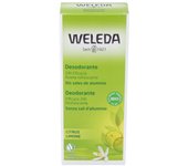 Citrus Desodorante 24H Eficacia Spray 100 Ml