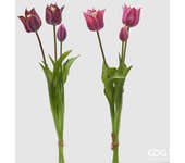 EDG Enzo De Gasperi Goma Tulip Olis 3 ramas H 48 Cm Lila o Malva 1 Cf