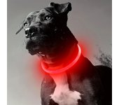 Collar de luz LED para perro mascota, Collar luminoso antipérdida para perro, Collar para perro recargable por USB