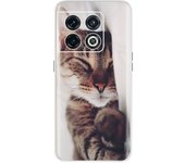 For OnePlus 10 Pro Back Cover Phone Case Clear Soft TPU Painting Shockproof Coqud fundas For Oneplus 10Pro 1+ 10 Pro Soft Capa
