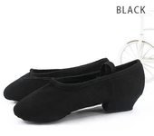 Zapatos de baile de Ballet profesionales para mujeres y niñas, zapatos de baile de tacón bajo, zapatos de lona para profesores para clase de baile