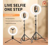 ZiinLife 26cm Ring Light with 2.1m Extendable Tripod Stand LED Circle Lights with Phone Holder for Live Stream/Makeup/YouTube Vi