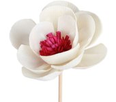 Fragrance Diffuser Perfume Aroma Oil Air Freshener Aromatherapy Flower Artificial Flower Aromatherapy Rattan Perfume Diffuser