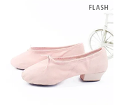 Zapatos de baile de Ballet profesionales para mujeres y niñas, zapatos de baile de tacón bajo, zapatos de lona para profesores para clase de baile