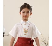 New horse faced Hanfu set for girls, Chinese Ming children's ancient Tang style daily spring and summer