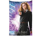 Harry Potter and the Half-Blood Prince - Hermione Tapestry Backdrop Wall Hanging For Bedroom Living Room