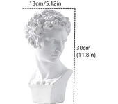 Resin Mold Statues Ornaments For Home Decoration Office Desk Accessories Bust Sculpture Statues Home Decor For Living Room David