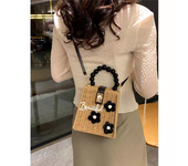 Handheld Woven Bag Straw Bag for Women New Literary Forest Style Summer Fresh Crossbody Beach Bag Box Bag