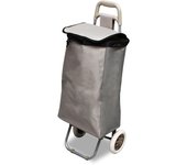 GREATOYAR Carro de Compra con Gran Capacidad, Carro de Compra con 2 Ruedas, Carrito de Compra para Mayores, Soporte Metálico, Alta Capacidad de Almacenamiento, Capacidad 40 litr