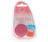 VASELINA NEUTRA perfumada 13 ml