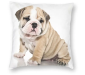 45x45cm Nordic English Bulldog Cushion Cover Pet Dog Funny Puppy Floor Pillowcase Living Room  Home Decor