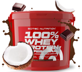 100% Whey Protein Professional 5kg - Scitec Nutrition