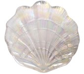 Bandeja para joyas de vidrio brillante con forma de concha iridiscente y brillante, organizador de joyas para mujeres y niñas.