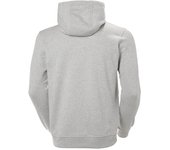 Sudadera HELLY HANSEN HH LOGO HOODIE 33977 949 Gris