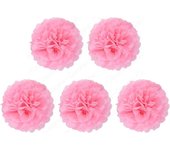 5 Pcs 6 inch Tissue Paper Pom Poms, Paper Flower Balls Hanging Fluffy Tissue Paper Flowers Decorations Paper Pompom Flowers for