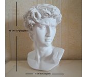 15cm David Statue Head Portraits Mini Gypsum Michelangelo Home Decoration Resin Art Craft Home Decor Sculpture
