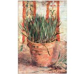 Panel decorativo del museo, Listo para Colgar. Van Gogh Vincent-Maceta con el cebollino-Cm 60x90