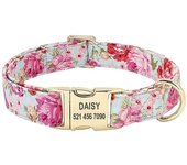 Collar con Placa de Identificación para Perro, personalizado, de Nailon, Con Grabado personalizado, ajustable para perros y Gatos de tamaño Mediano y Grande