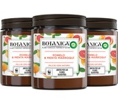 Botanica by Air Wick Pack 3 Velas aromáticas de cera natural, aroma Pomelo y Menta Marroquí