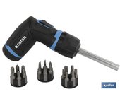 Set destorn. carraca t 19 pcs converter 5:1 veloc.