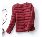2024 New European Women Spring Autumn Light Duck Down Fabric Lightweight Coat Female Windbreaker Parka Down Jackets Plus Coats