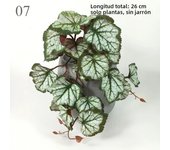 Artificial Turtle Back Leave Plant Rattan Potted Ornament Simulation Watermelon Leaf Green Vine Bonsai Wedding Home Garden Decor