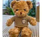 30cm Cute Teddy Bear Plush Toy Wearing Sweater Adorable Stuffed Animal with Soft Sweater Teddy Bear Perfect Gift for Kids