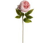 Poenia Arte Floral - Vara de Peonia Artificial 55cm 3pcs - Decoración Floral Realista