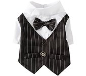 Gentleman Dog Dress For Formal Occasions Four Seasons Puppy Suit With Tie Wedding Pet Photo Dress English Style Teddy Clothes