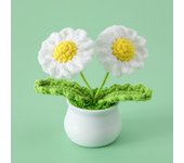 DIY Handwoven Mini Potted Flower Rose Tulip Daisy Office Desktop Ornamental Plant Woolen Thread Finished Product Home Decoration