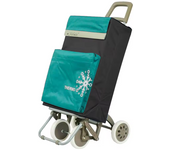 Carro de Compra Plegable Ligero con Bolsa Termo, 4 Ruedas Resistentes, 40 Litros, 105x30x39cm