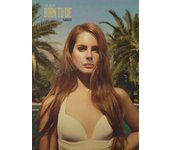 Singer Lana Del Rey Classic Music Album Covers Ultraviolence Lust for Life Poster Canvas Painting Wall Pictures Home Decor Gift