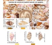 300pcs Seashell Beads 2 Styles Ocean Beach Spiral Shells Craft Sea Shells Charms with 1mm Hole for Jewelry Bracelet