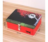 Iron Box with Lock and Key Desktop Storage Box Retro Tinplate Cosmetics ID Storage Household Jewelry Storage Empty Box
