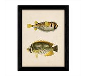 Nacnic Lámina Dos Peces Amarillo Gris Y Negro En Fondo Papel Vintage Poster Papel 250 Gr