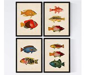 Nacnic - Set de 4 Láminas de Peces Coloridos Efecto Vintage - Maldivas - Composición de 10 Peces Diferentes - Fondo Papel Antiguo Vintage - Poster Papel 250 Gr Alta Calidad - Marcos de Fotos y Arte de Pared
