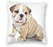 Home Pillowcase Office Decor Cushion Cover English Bulldog Print Pattern